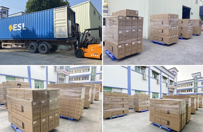 Dongguan Lifangmei Electronic Co., Ltd. 